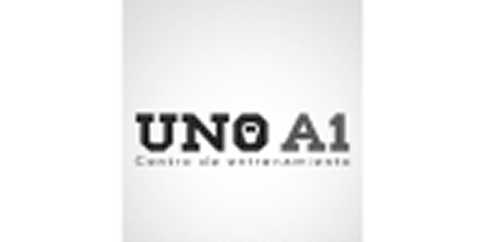 a1